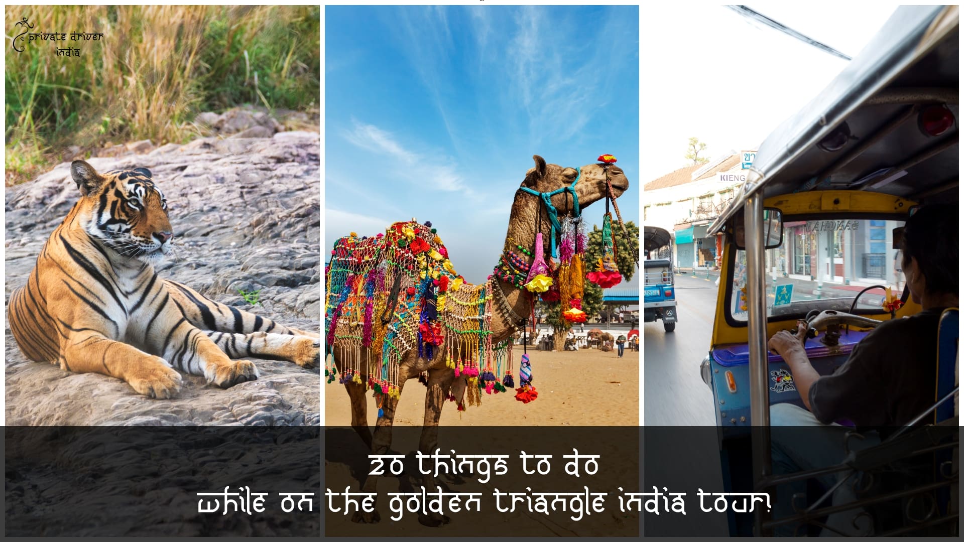 20 Things to Do While on The Golden Triangle India Tour Essential Guide to visiting India's Golden Triangle